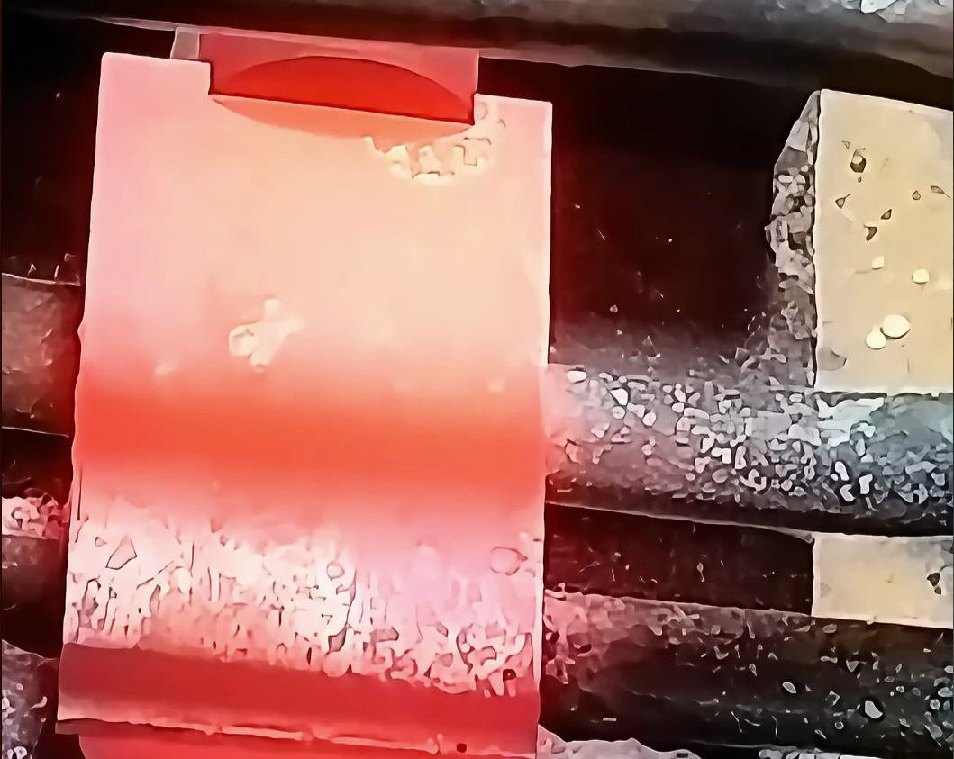 202603111643122017.jpg